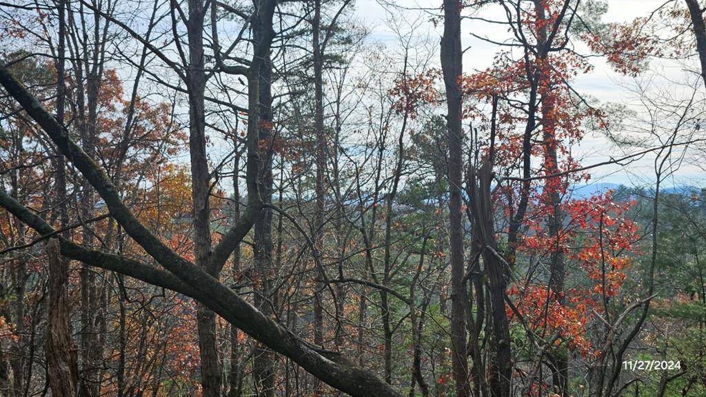 Ellijay, GA 30540,Lot 154 Rhondas Way