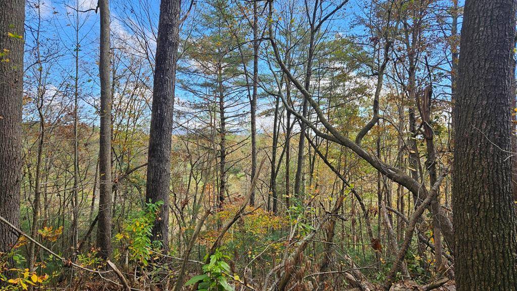 Ellijay, GA 30540,Lot 158 Roaring Forks Lane