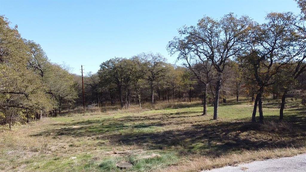 Runaway Bay, TX 76426,196 Johnston Lane