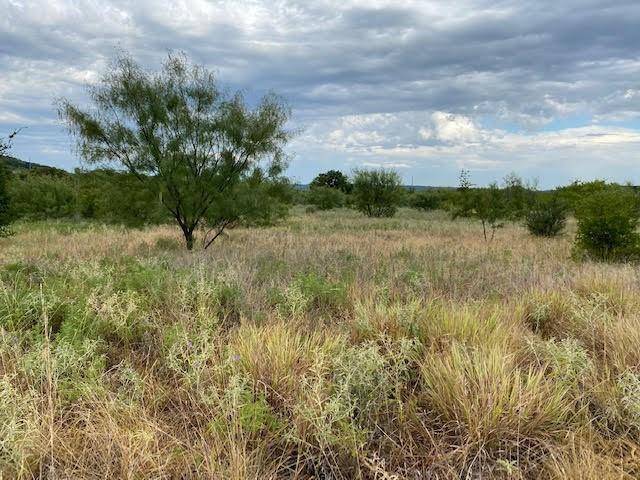 Graford, TX 76449,Lot 23 Northern Bobwhite Court