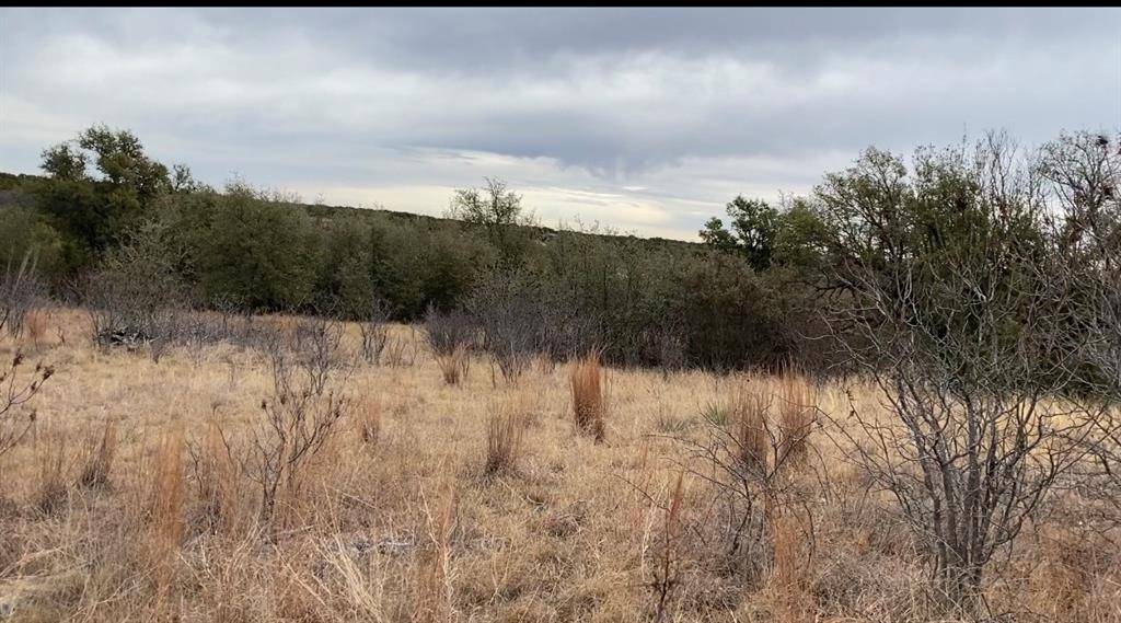 Possum Kingdom Lake, TX 76449,Lot 295 Shooting Star Court