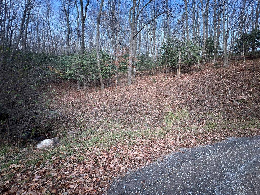 Tazewell, VA 24651,Lot 65 Cove Creek Road