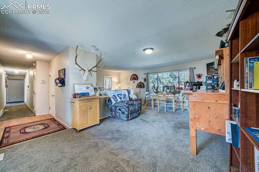 Woodland Park, CO 80863,760 W Kelleys RD