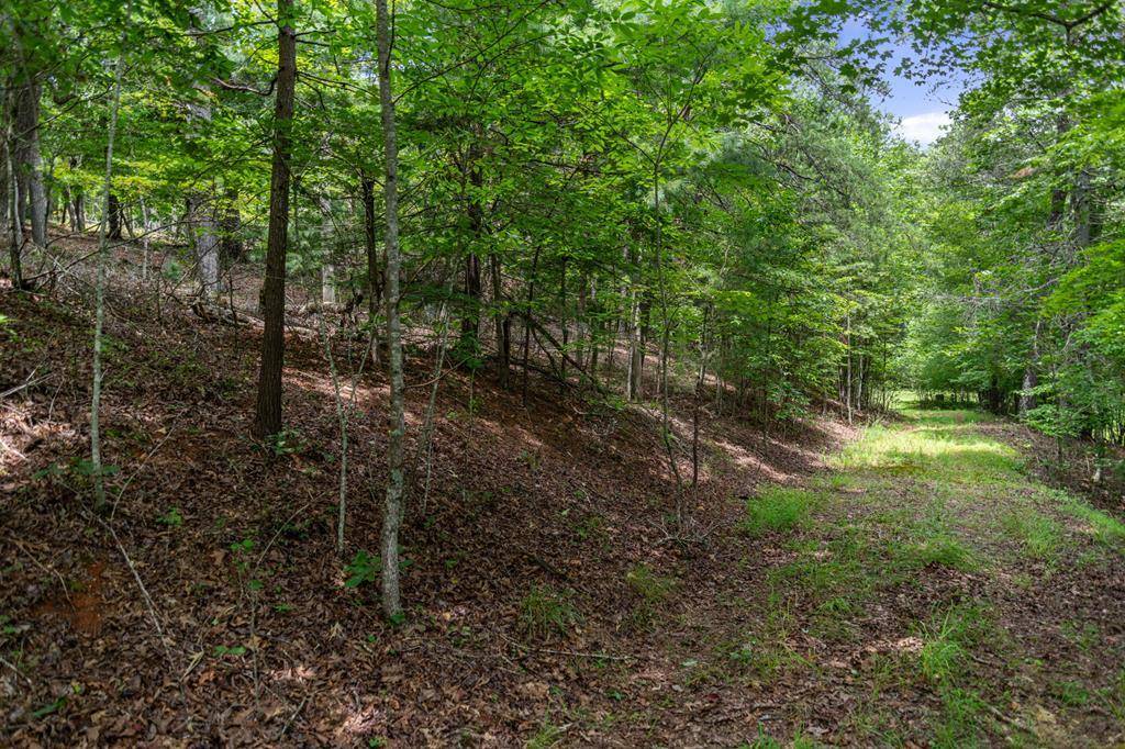 Mineral Bluff, GA 30559,Lt 6 & 7 Cub Drive