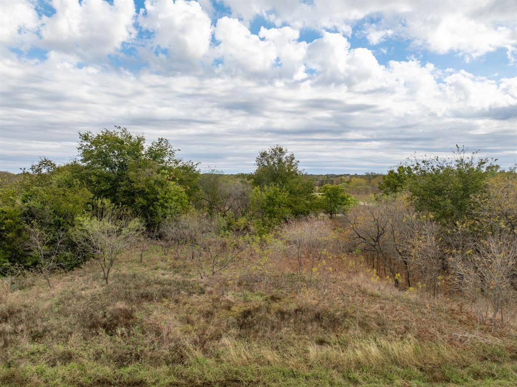 Whitney, TX 76692,39208 Cross Timber Drive