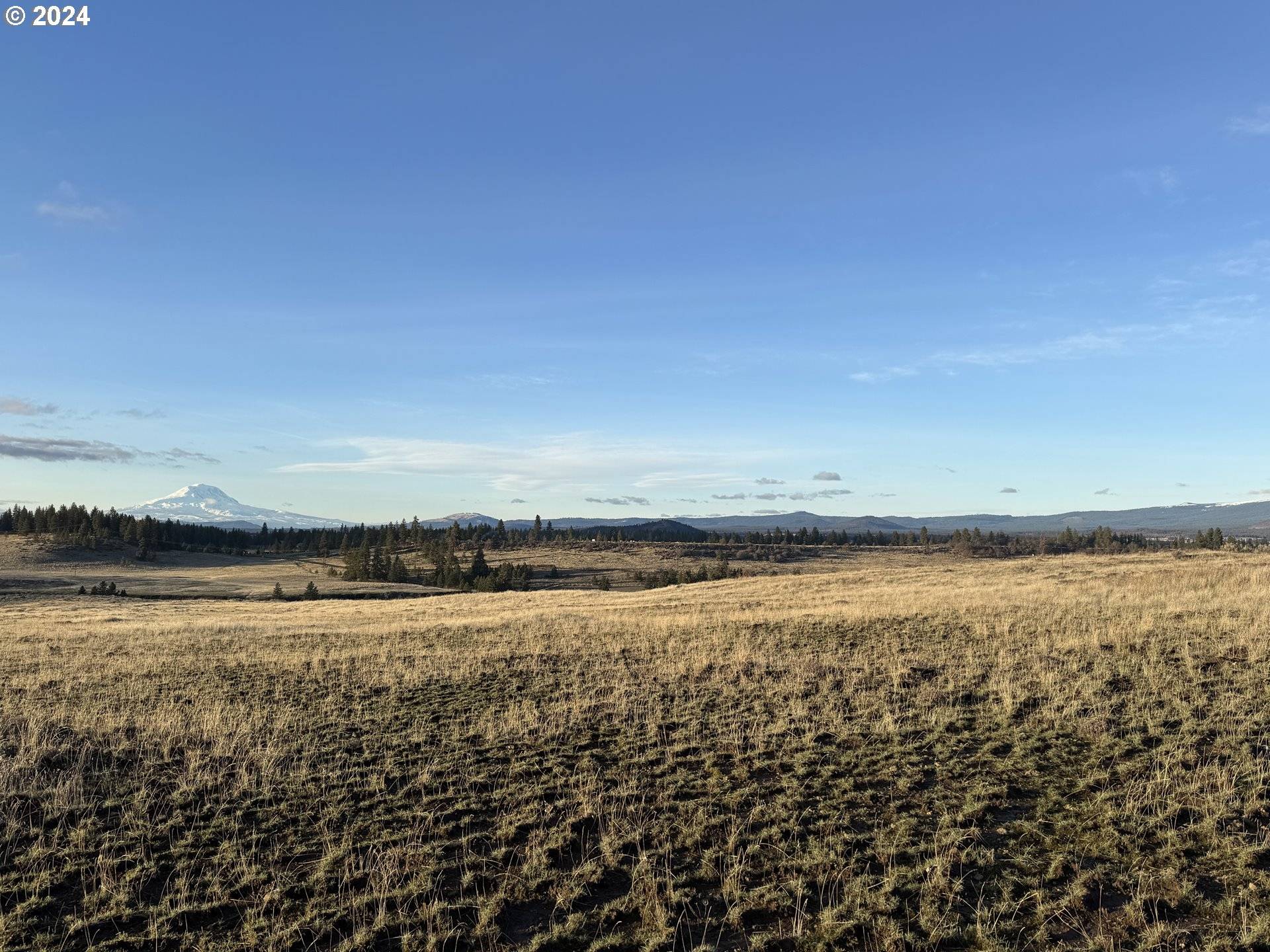 Centerville, WA 98613,Olson