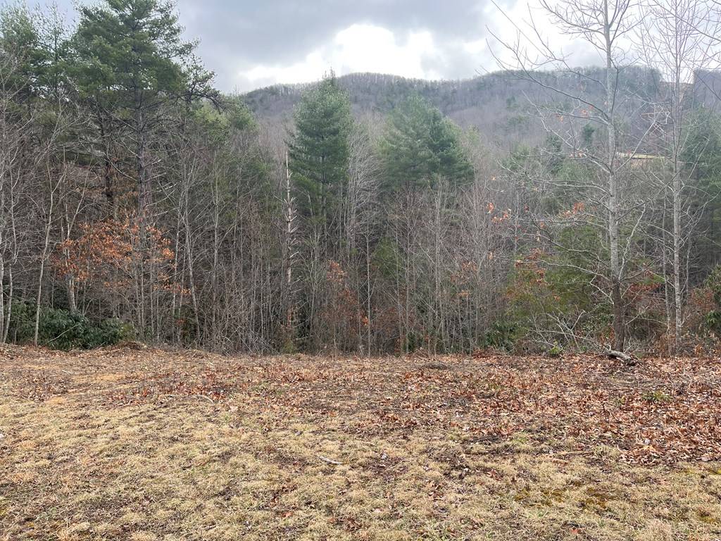 Austinville, VA 24312,TBD Weeping Willow Trail