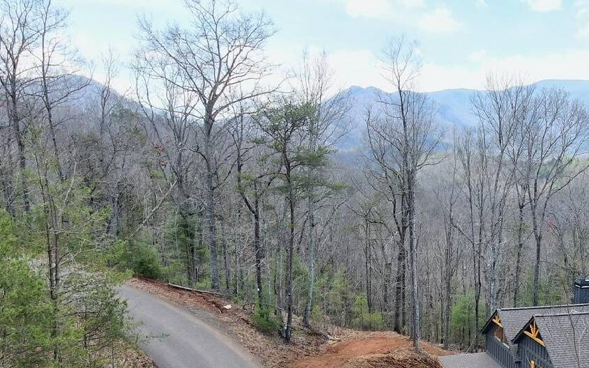 Hiawassee, GA 30546,LT17 Mill Ridge Road