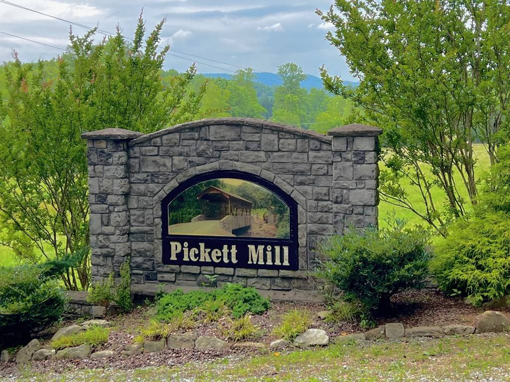 Ellijay, GA 30540,24 Pickett Mill Lane