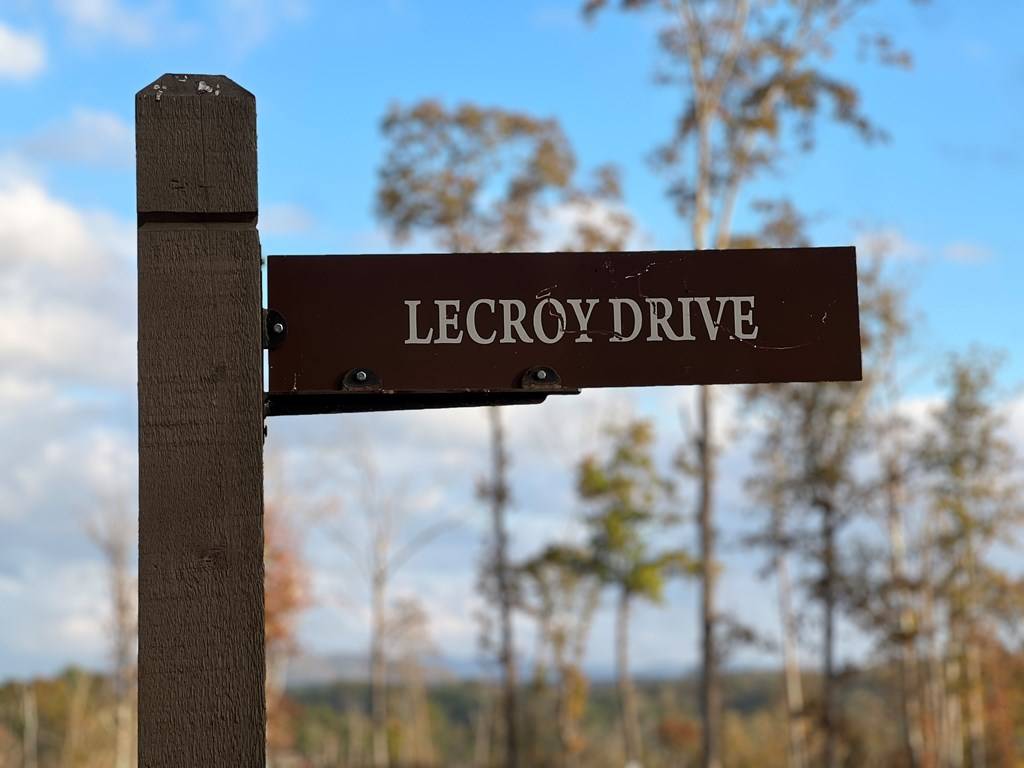 Ellijay, GA 30540,Lot 174 Lecroy Drive