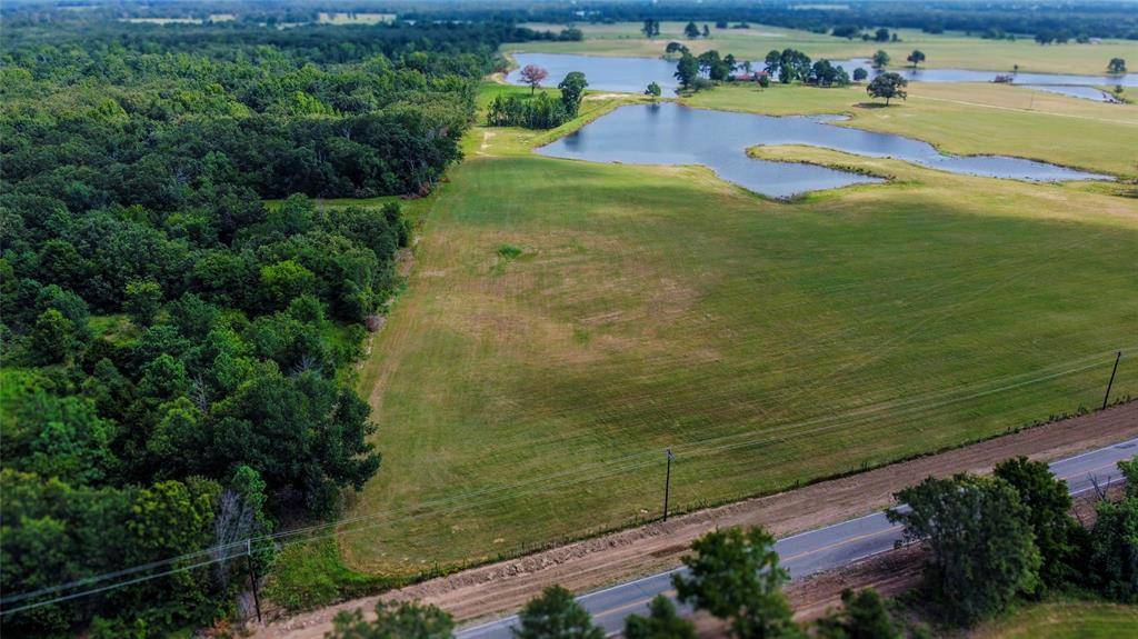 Grand Saline, TX 75140,LOT 8 Fm 1255