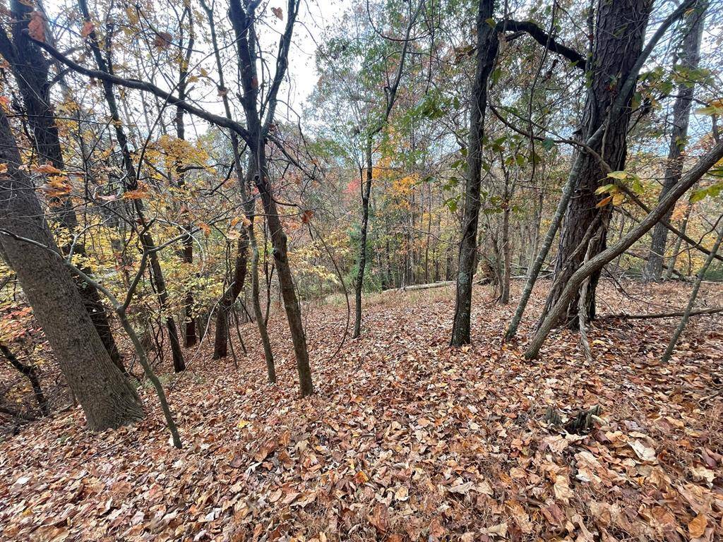 Ellijay, GA 30540,Lot 468 Cherokee Court