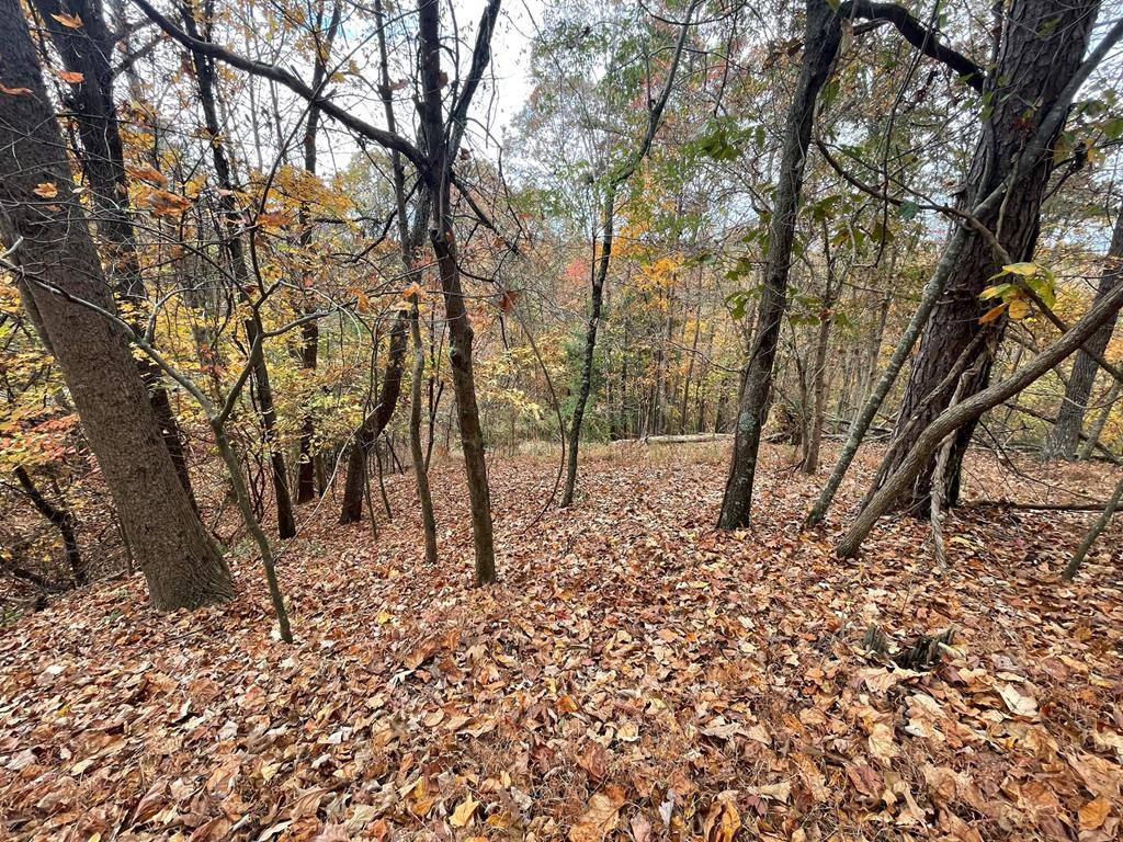 Ellijay, GA 30540,Lot 468 Cherokee Court