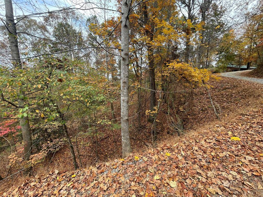 Ellijay, GA 30540,Lot 468 Cherokee Court