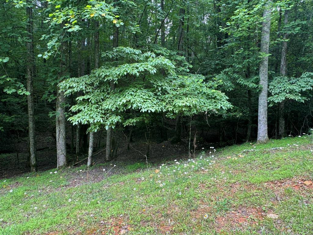 Ellijay, GA 30540,Lot 1721 Newport Drive