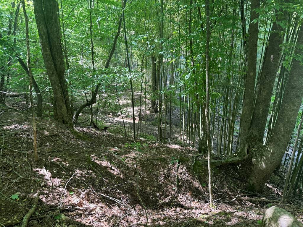 Ellijay, GA 30540,Lot 1721 Newport Drive