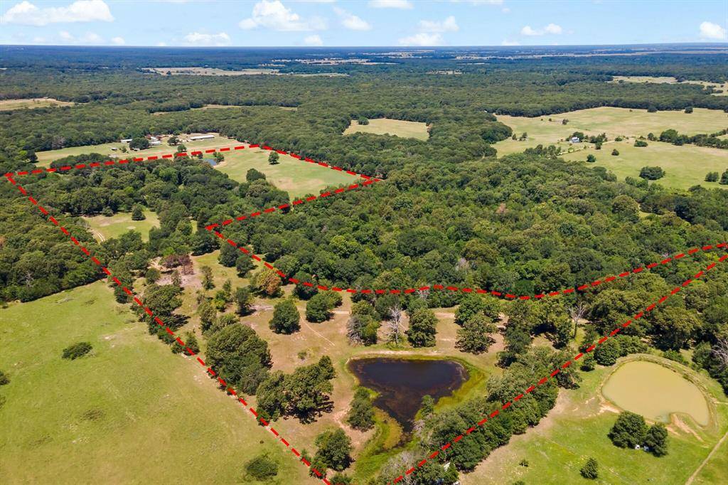 Honey Grove, TX 75446,000 County Rd 2411