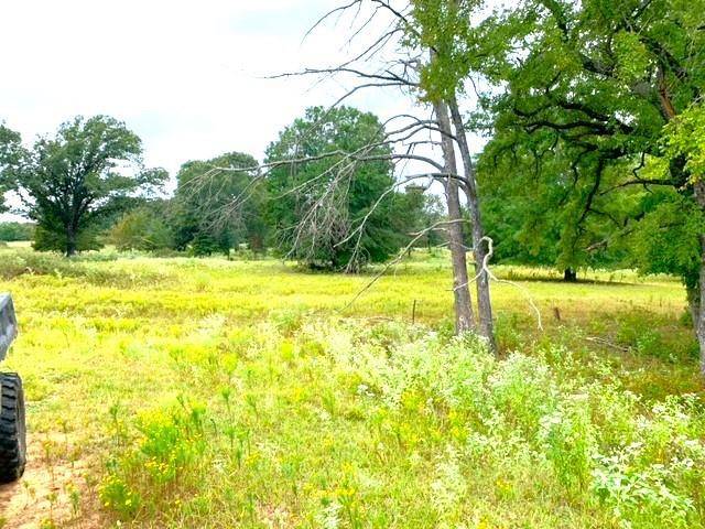 Honey Grove, TX 75446,000 County Rd 2411