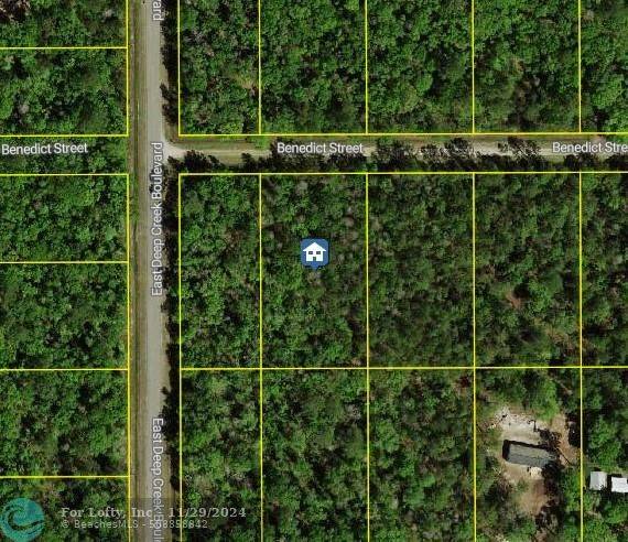 Hastings, FL 32145,4795 Benedict St