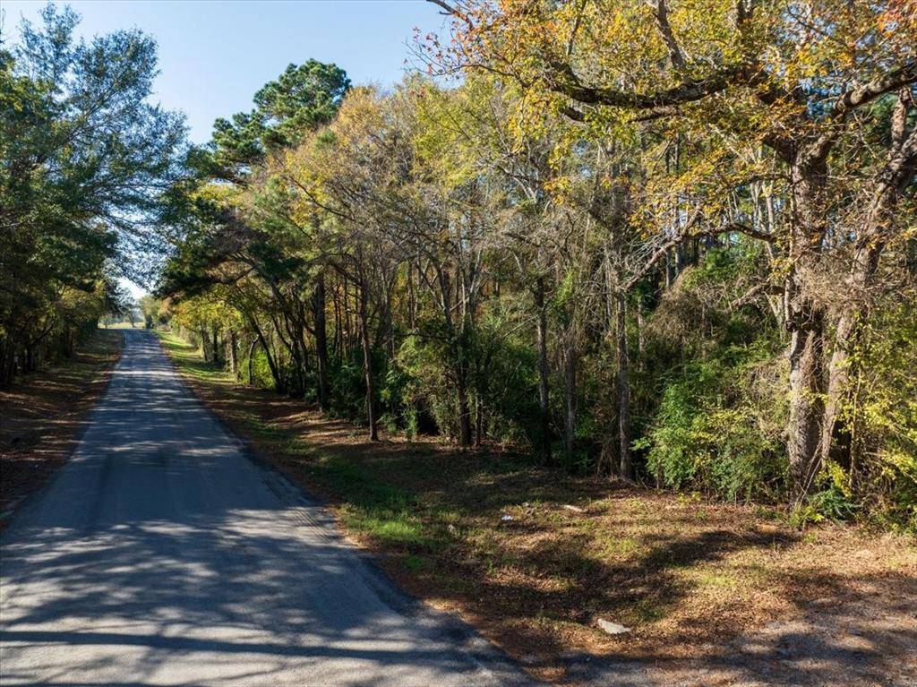 Nacogdoches, TX 75965,TBD Farm to Market 1087