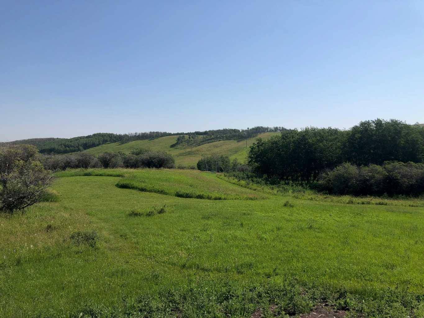 Rural Foothills County, AB T1S 0W5,274172 112 ST W #10