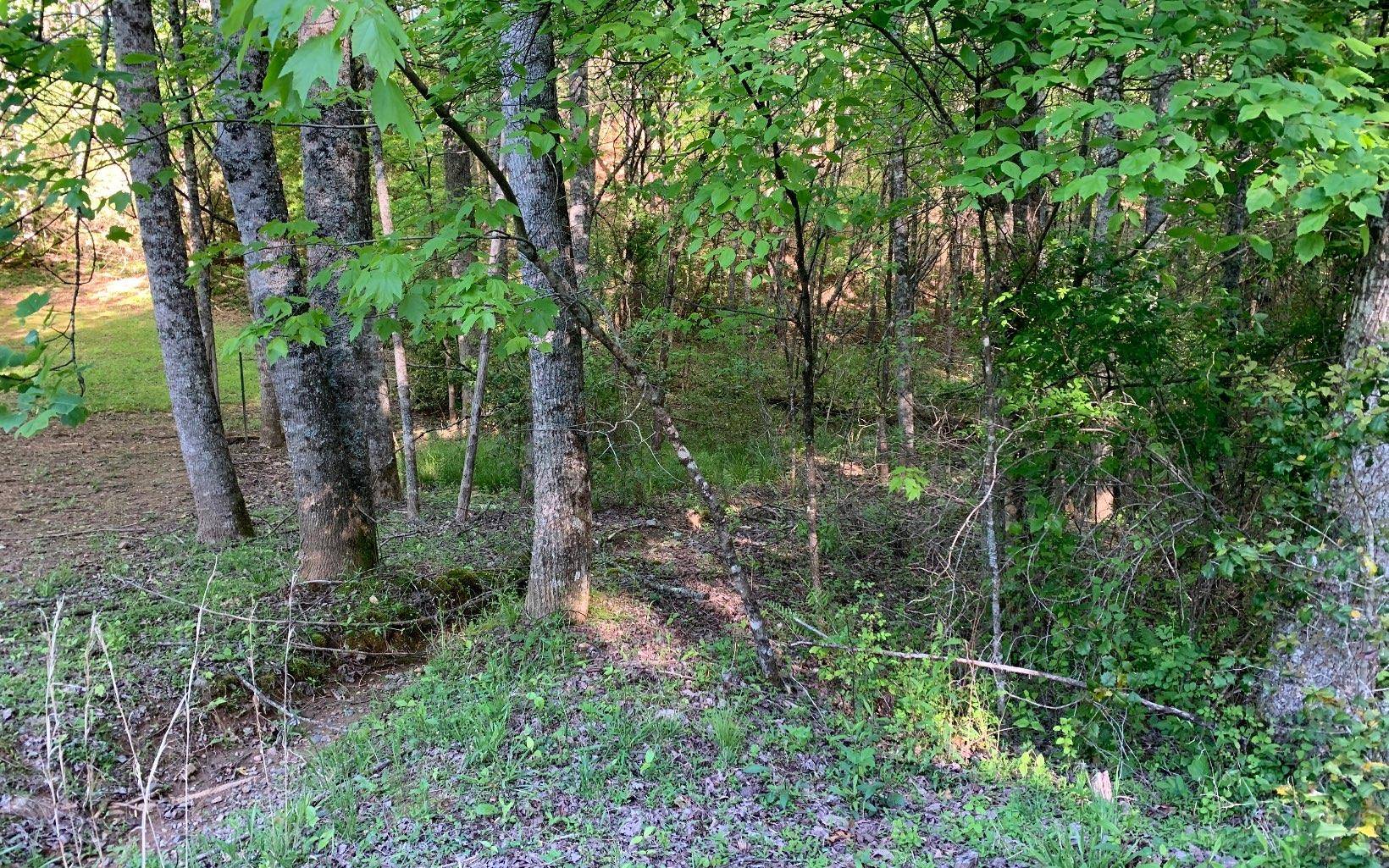 Murphy, NC 28906,LOT # Hunter Valley Road