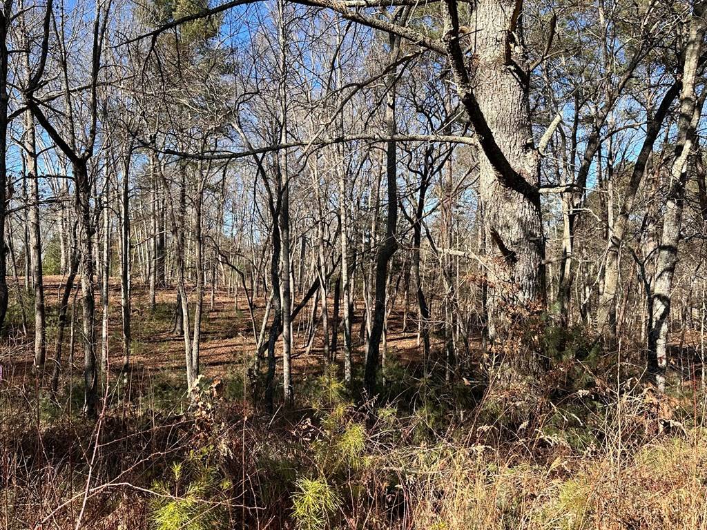 Morganton, GA 30560,Lot 14 Fairview Way