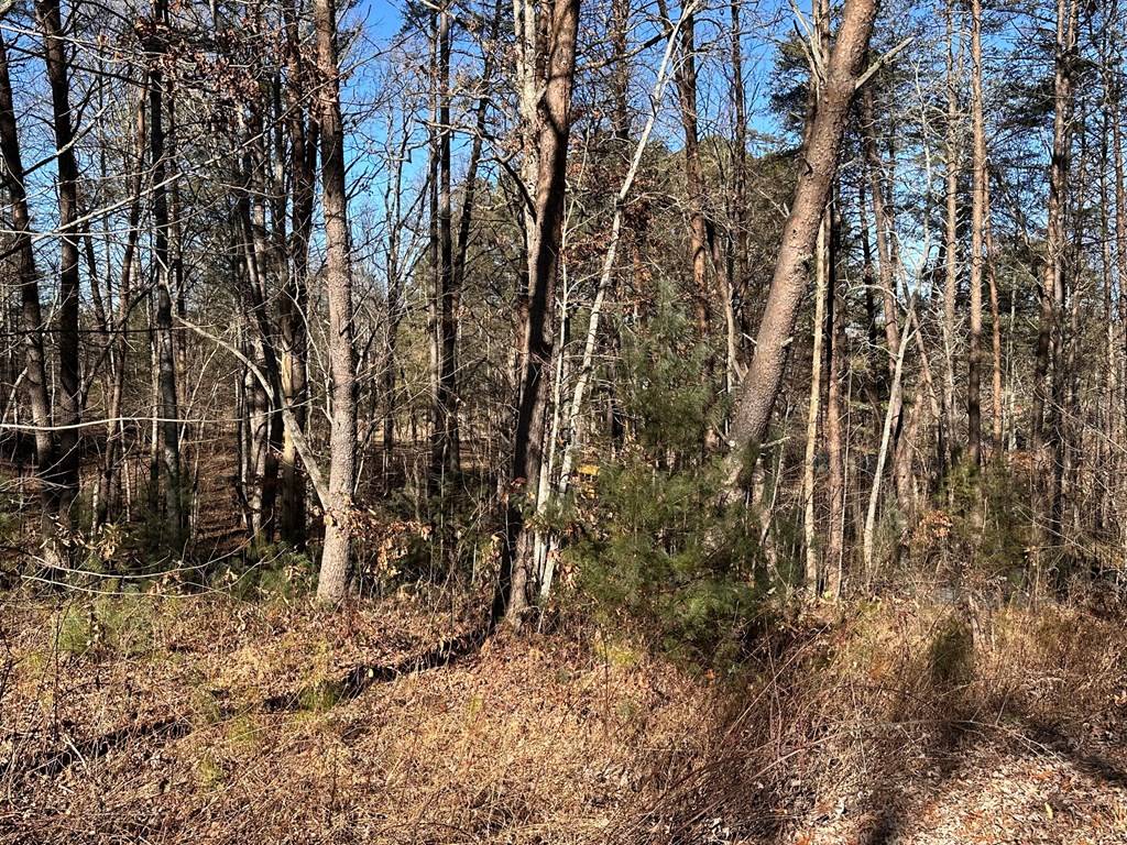 Morganton, GA 30560,Lot 14 Fairview Way