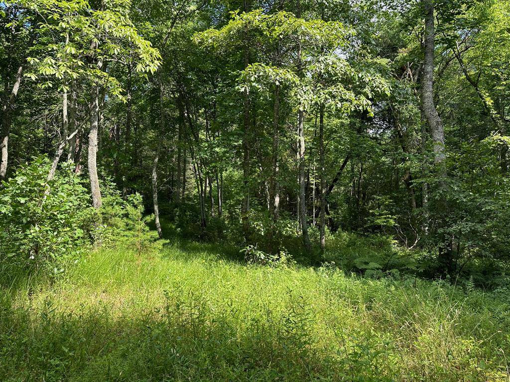 Morganton, GA 30560,Lot 30 Fairview Drive