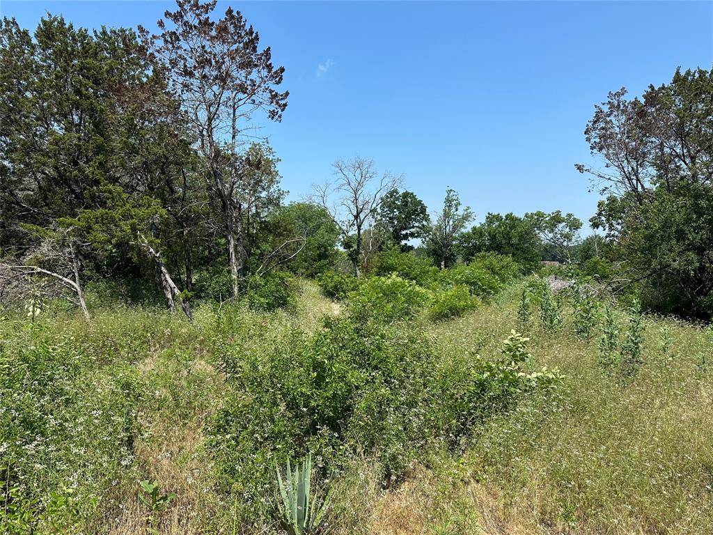 Weatherford, TX 76087,Lot 17 Sante Fe