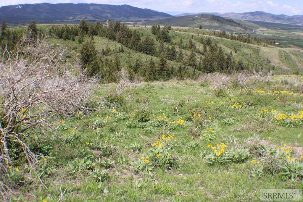 Soda Springs, ID 83276,00 Caribou Road