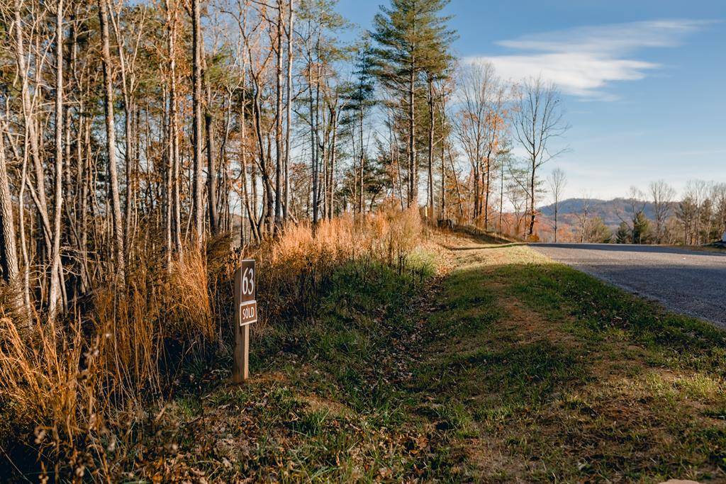 Morganton, GA 30560,Lot 63 Ridges Of Blue Ridge