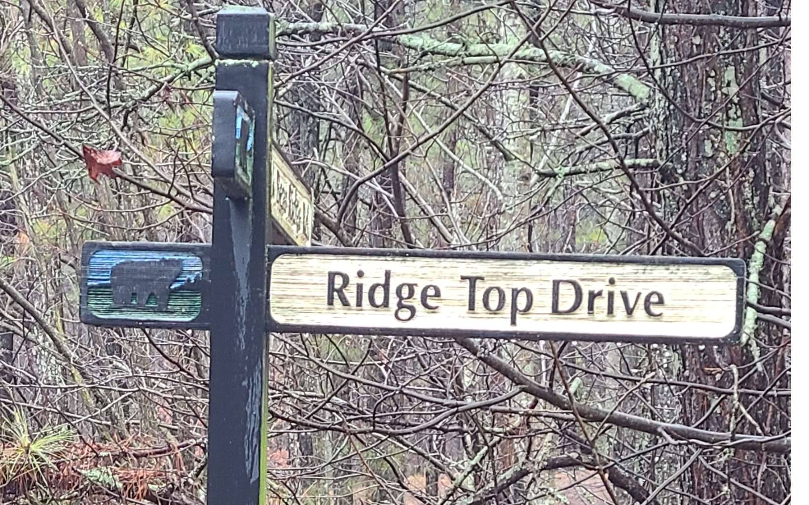 Ellijay, GA 30536,24 Ridge Top Drive