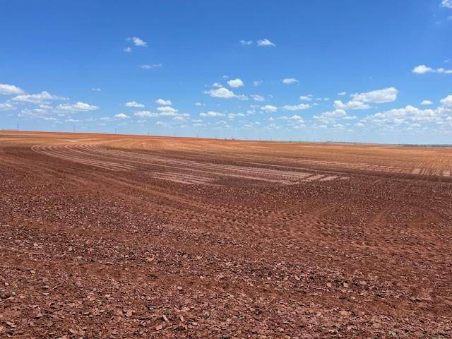 Rotan, TX 79546,TBD CR 326