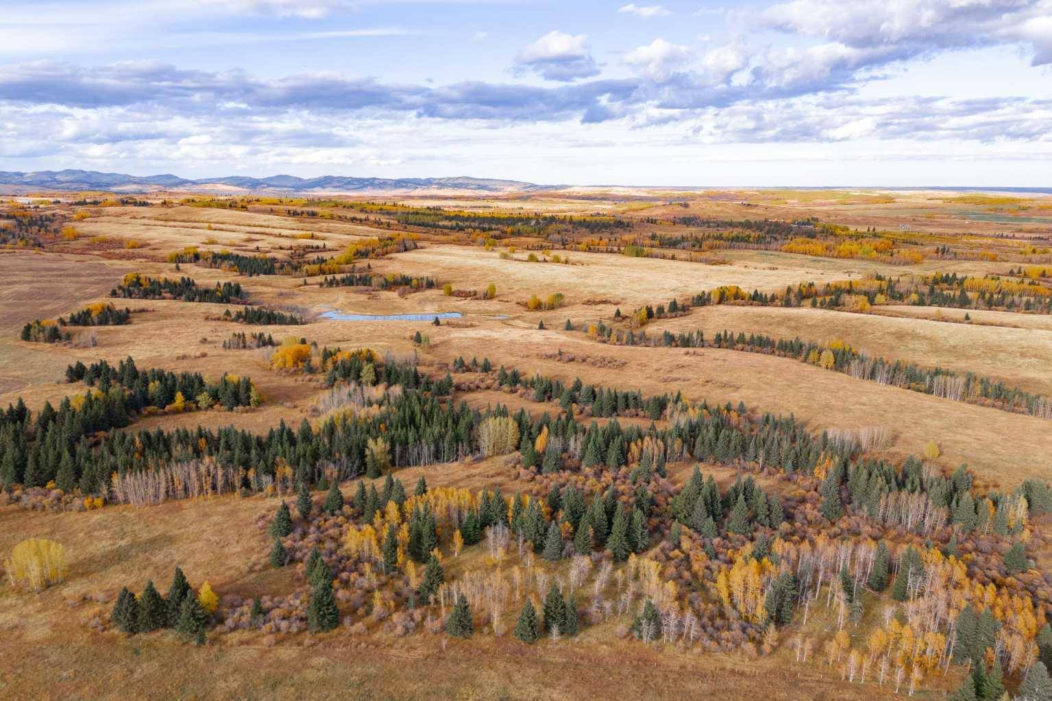 Rural Rocky View County, AB T3Z 2L4,Scott Lake Ranch