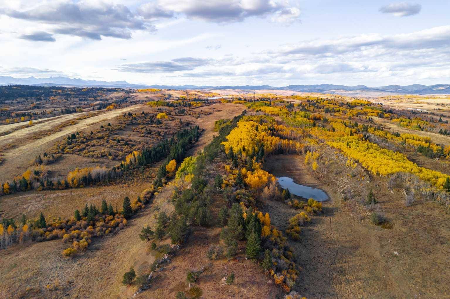 Rural Rocky View County, AB T3Z 2L4,Scott Lake Ranch