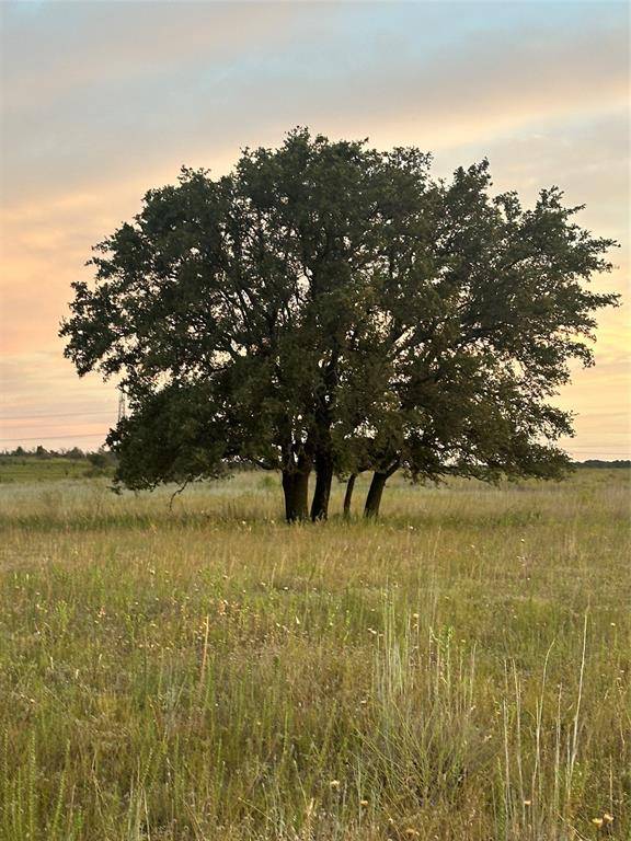 Comanche, TX 76442,0 CR 210 Road