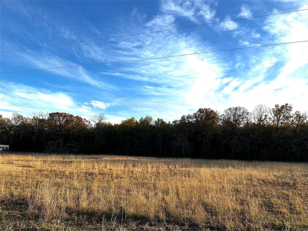 Blossom, TX 75416,Lot 6 PR 45855