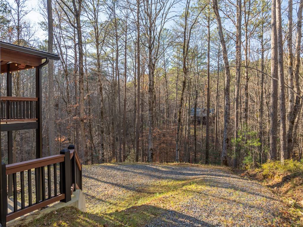 Ellijay, GA 30540,138 Nectar Lane