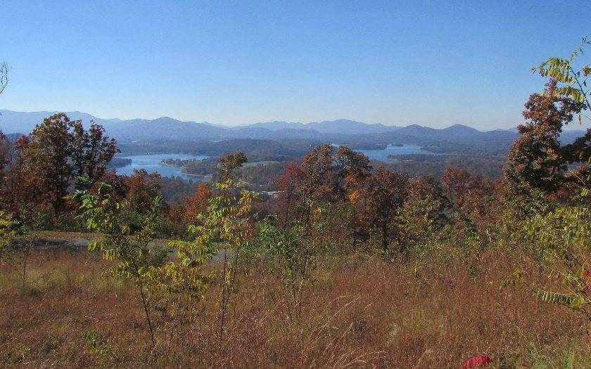 Hayesville, NC 28904,LOT45 Pinnacle Drive