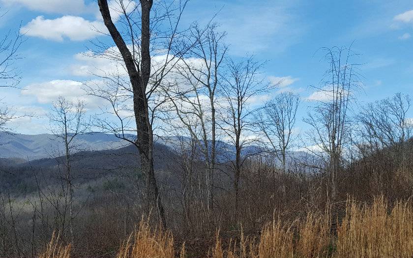 Hayesville, NC 28904,LOT45 Pinnacle Drive