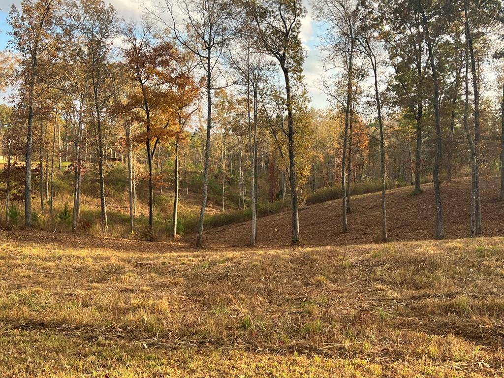 Ellijay, GA 30540,Lot 104 High River Road