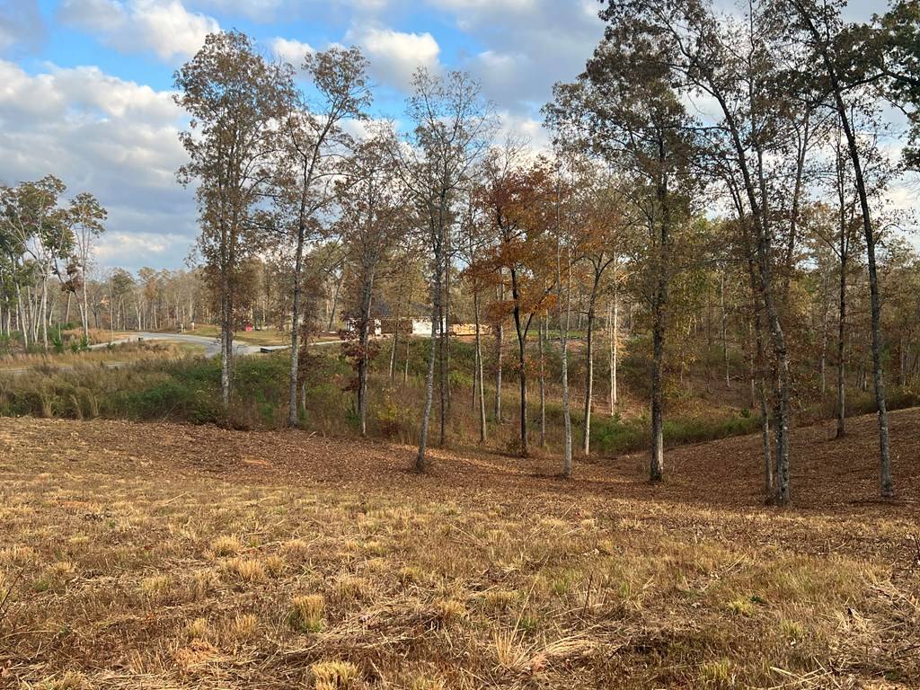 Ellijay, GA 30540,Lot 104 High River Road