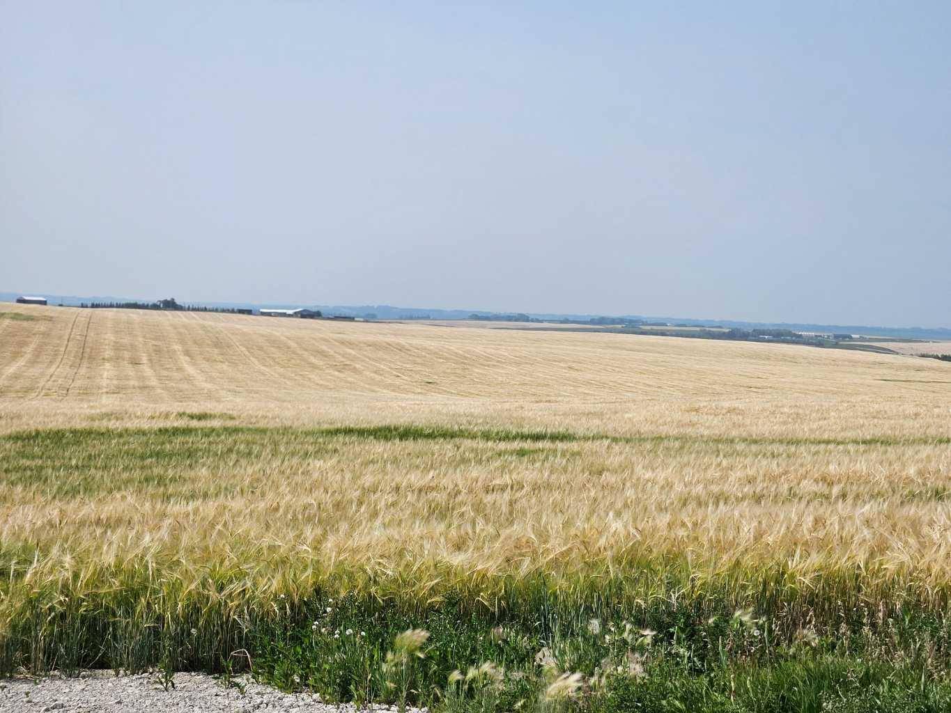 Rural Rocky View County, AB T4B 3L5,Symons Valley