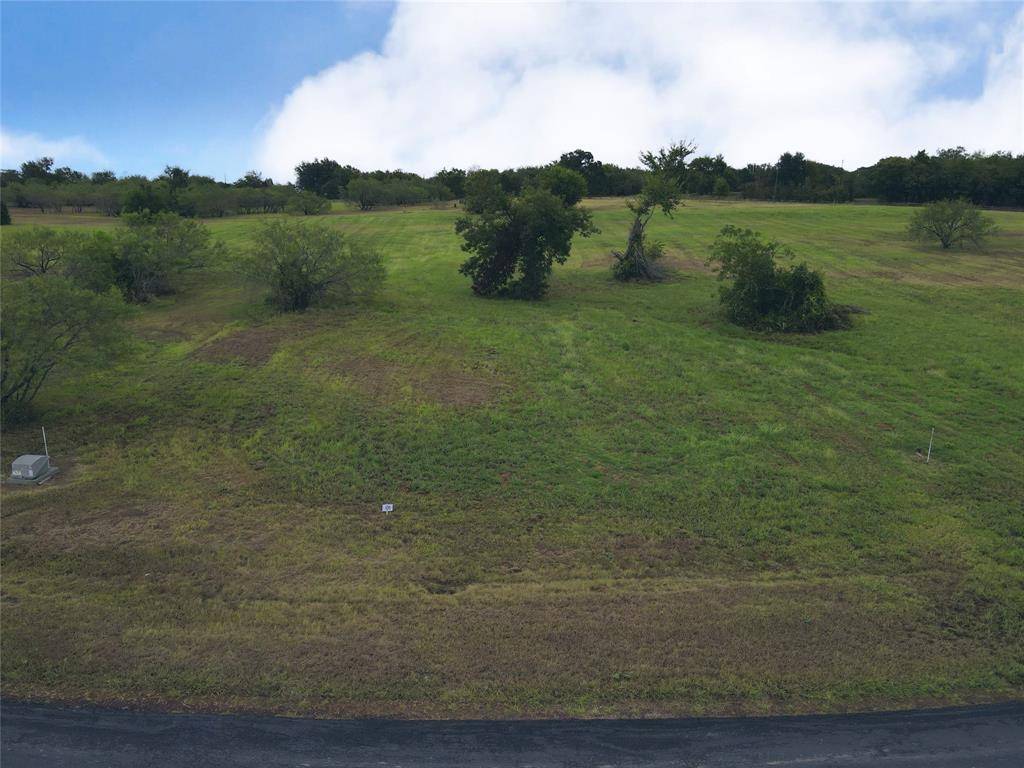 Streetman, TX 75859,Lot 131 Lake Vista Drive