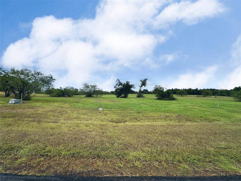 Streetman, TX 75859,Lot 131 Lake Vista Drive