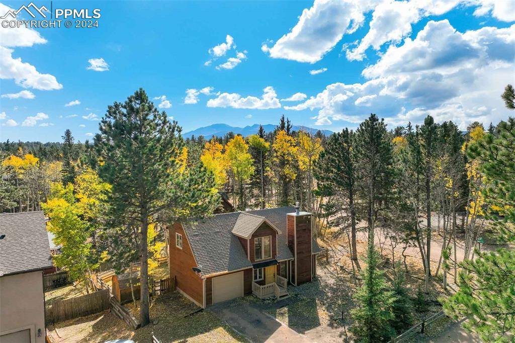 Woodland Park, CO 80863,32 Leisure LN