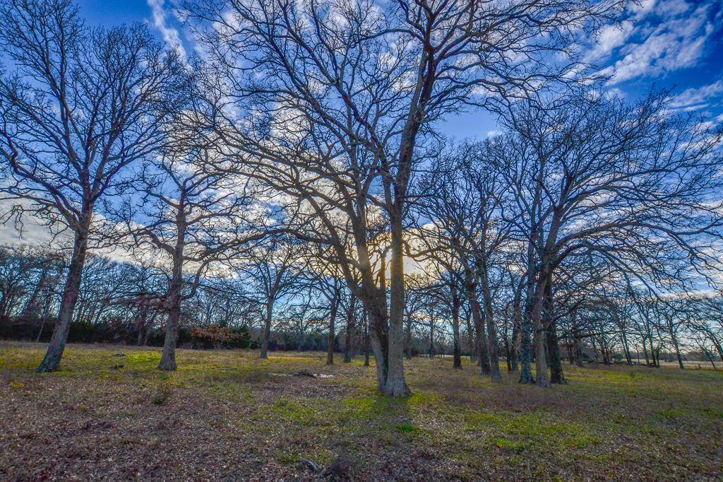 Canton, TX 75103,0 VZ County Road 2309