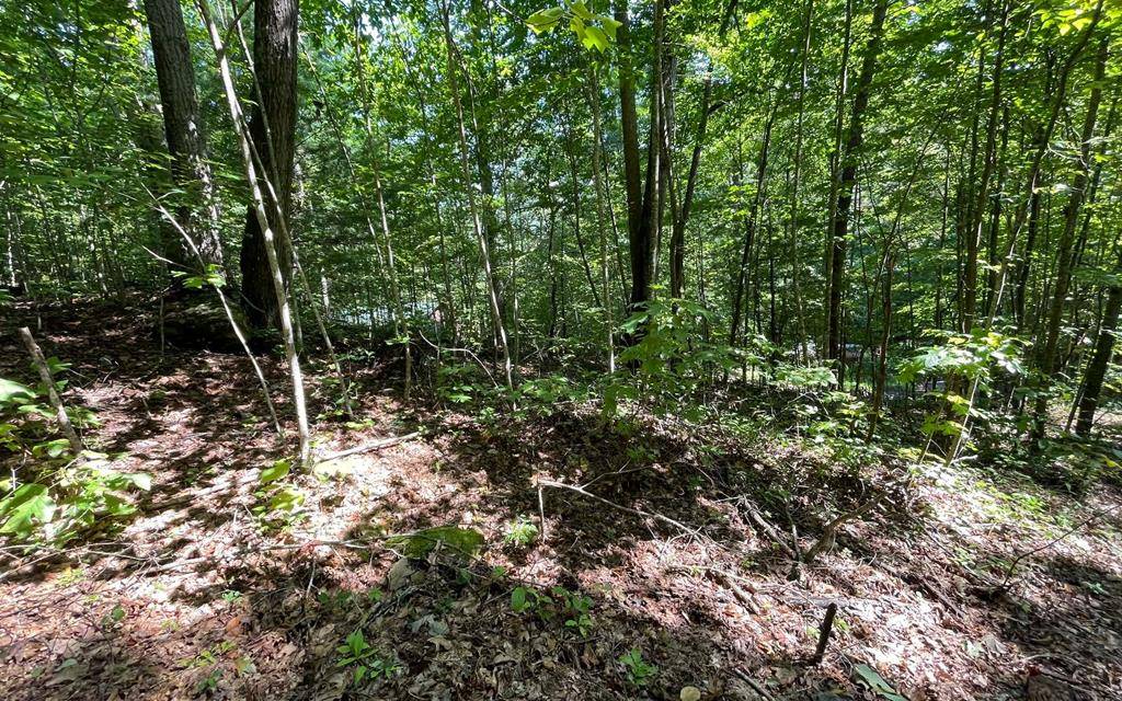 Hiawassee, GA 30546,Lot 8D Eagle Heights