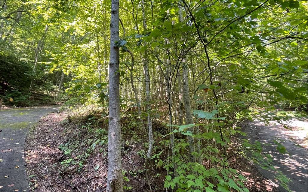 Hiawassee, GA 30546,Lot 8D Eagle Heights